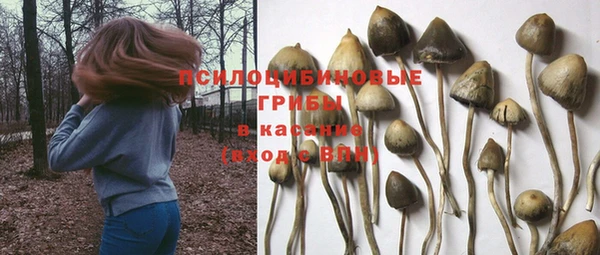 ALPHA-PVP Михайлов